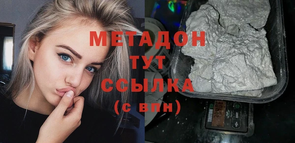 стаф Алзамай