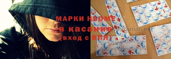стаф Алзамай