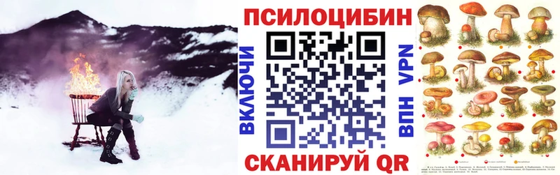 гидра ссылка  Ирбит  Галлюциногенные грибы мицелий 
