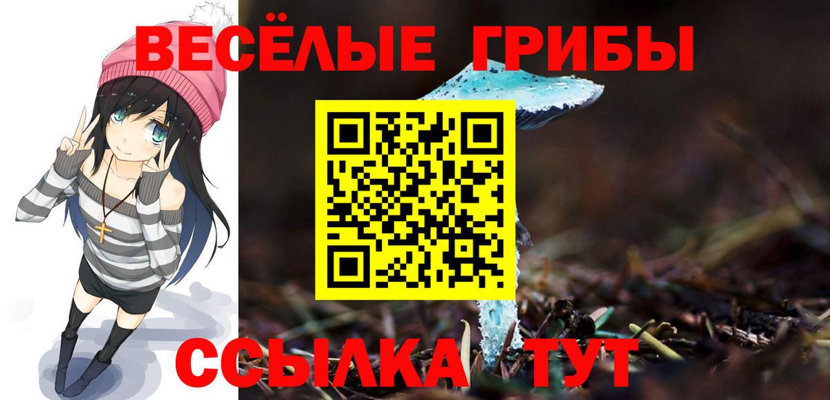 Галлюциногенные грибы GOLDEN TEACHER Ирбит